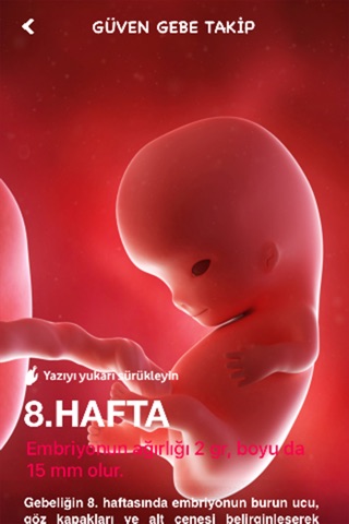 Güven Gebe Takip - Hamilelik döneminde bebeğinizin gelişimini takip edin screenshot 2