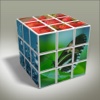 Flows 3D Puzzle - Adventures Something Speed Guess