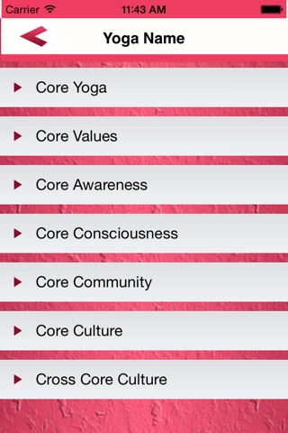 Core Conditioning Through Yoga screenshot 2