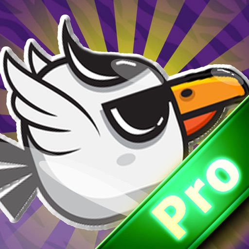Best Flying Bird Pro icon