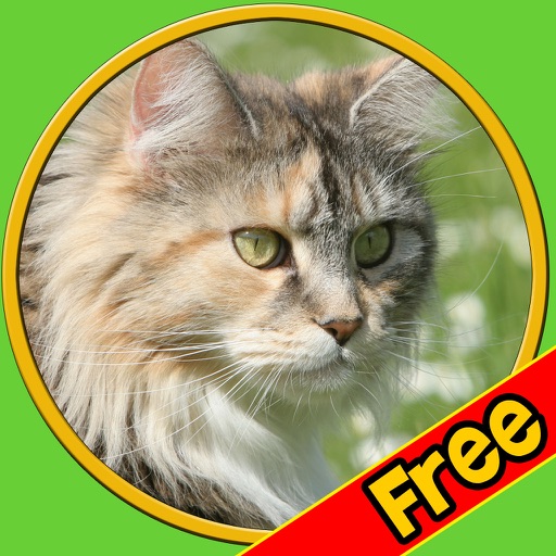 cats fascinating for my kids - free game icon