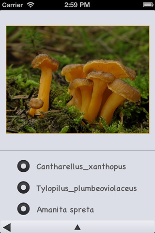 Mushrooms Wiki screenshot 4