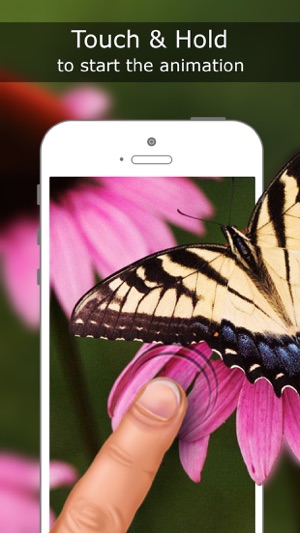 Live Wallpapers for iPhone 6s & 6s Plus 