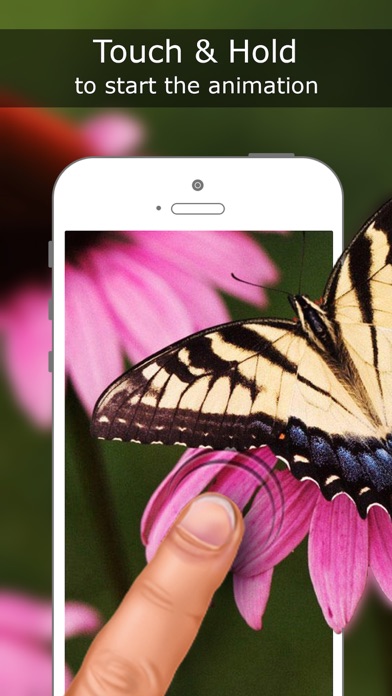 How to cancel & delete Live Wallpapers for iPhone 6s & 6s Plus  - Free Animated Backgrounds from iphone & ipad 1