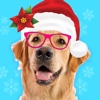 Xmas Funny Sticker Booth - My Stickered Selfie Camara With Photo Editing