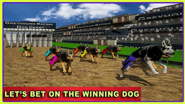 Race Dog Racer Simulator 2016 – Virtual Racing Championship (圖2)-速報App