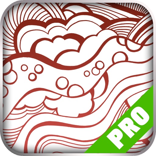 Game Pro - Road Not Taken Version iOS App