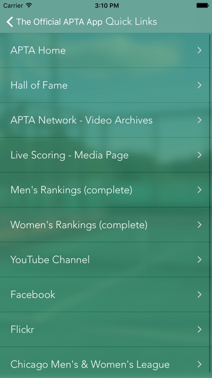 APTA - American Platform Tennis Assocation screenshot-4
