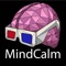 MindCalm is a gamified learning experience about Mindfulness