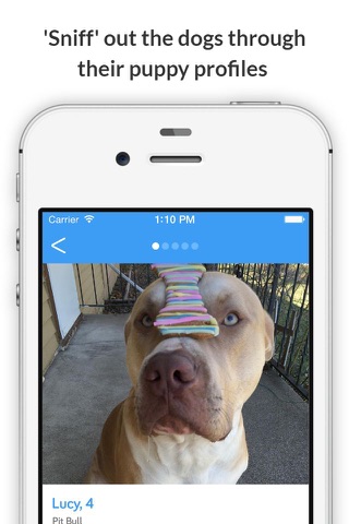 Sniffer by Doggy Buddies screenshot 3