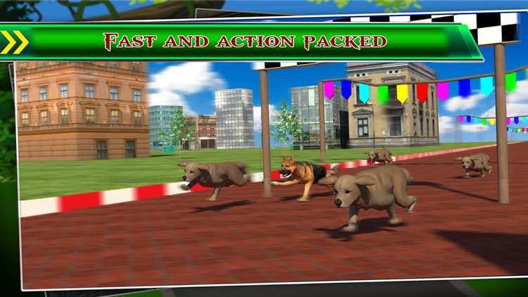 Dog Racing 3D by WAQAS AKRAM