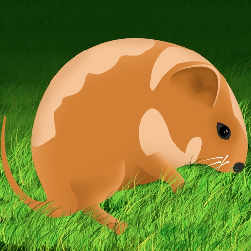 Amazing Hamster Jump Adventure - crazy speed running arcade game icon