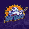 Orlando Solar Bears