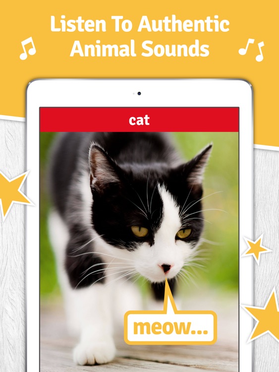 SO Animals - HD Interactive Animal Flash Cards & Sounds screenshot-3