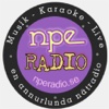 Npe Radio KD
