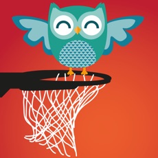 Activities of Owl Basketball