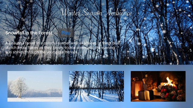 Winter Season Ambience(圖5)-速報App