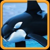 Killer Wild Orca Whale Simulator 3D
