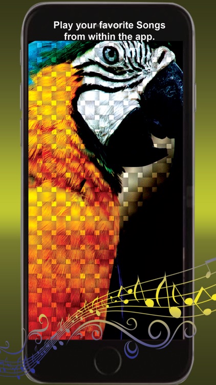 PicSlideShow - Awesome pic SlideShow screensaver for facebook albums screenshot-3