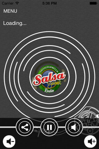 Salsa Gourmet Radio screenshot 2