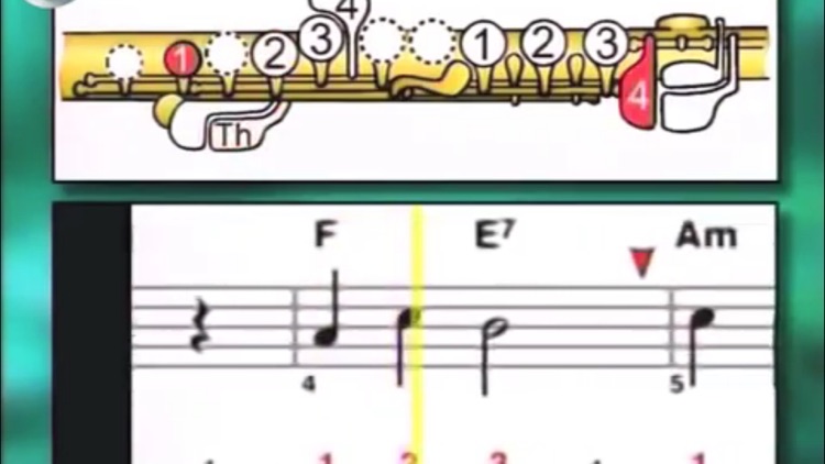 Teach Yourself Flute screenshot-4