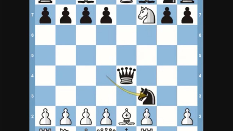 Teach Yourself To Play Chess screenshot-4