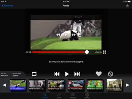 Game screenshot LoopTube HD - Autoplay Videos in a Loop apk