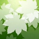 Top 19 Education Apps Like Vancouver Trees - Best Alternatives