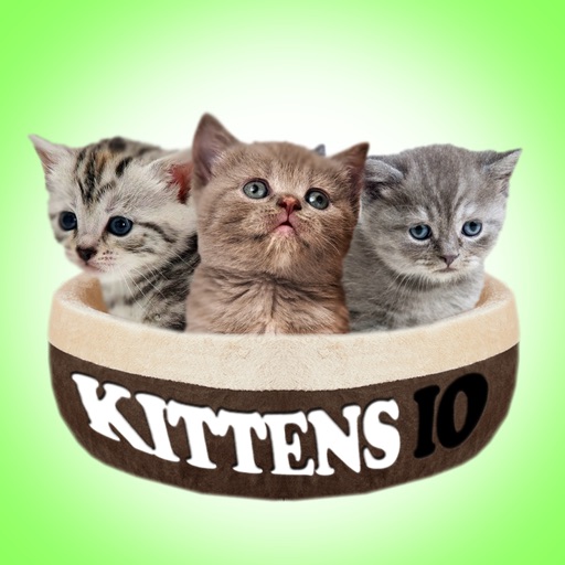 Kittens IO icon