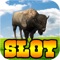 Thundering Buffalo Bison Herd Slots: Free Casino Slot Machine