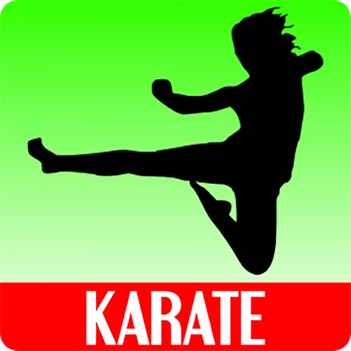 Learn Karate: Karate Training For Video For HD icon