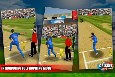Cricket Play 3D - Live The Game (World Pro Team Challenge Cup 2016) screenshot 4