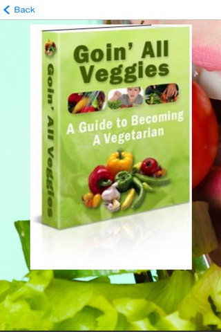 Vegetarian Meal Recipes - Healthy Vegetarian Tips screenshot 4
