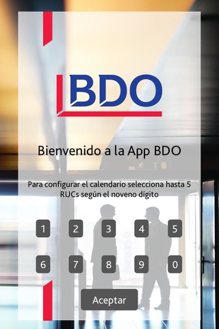 BDO Ecuador screenshot 2