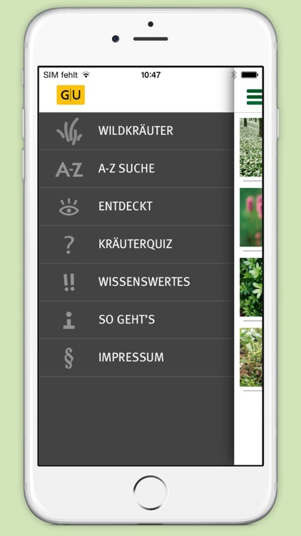 Wildkräuter & Beeren bestimmen – entdecken Sie heimische Kräuter und Beeren in Natur und Garten screenshot-4