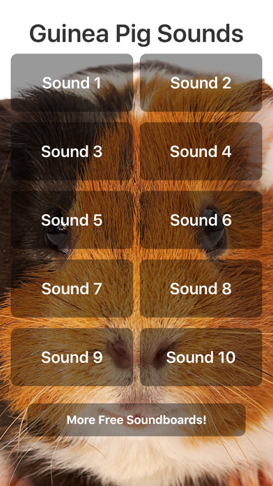 How to cancel & delete Guinea Pig Sounds from iphone & ipad 1