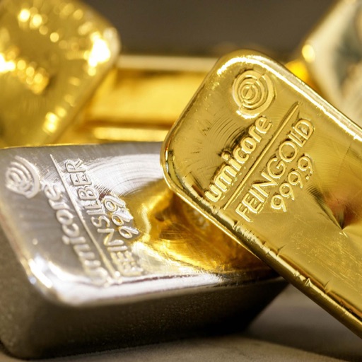 Gold and Silver Investing Guide: Tutorial with News icon