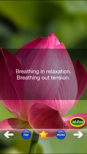 Meditation and Relaxation FREE! Daily Stress & Anxiety Relie(圖2)-速報App