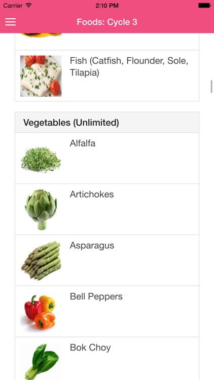 17 Day Diet Guide screenshot-4