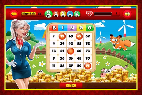 Bingo Super Fun screenshot 2