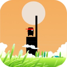 Activities of Bridge Stick