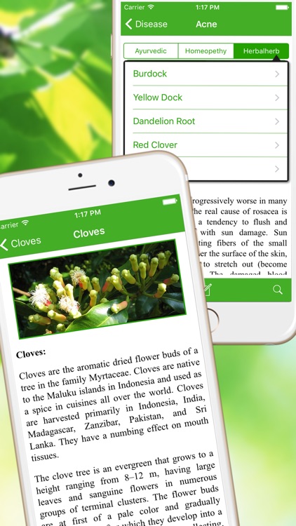 Natural Ayurvedic Healer Remedies Herbal Free screenshot-3