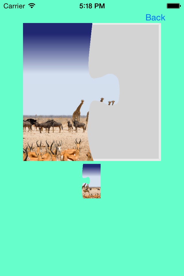 Safari Animals Jigsaw Puzzles screenshot 3