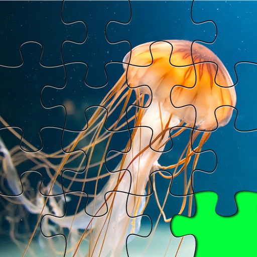 Jigsaw Epic Underwater Collection With Amazing Packs iOS App