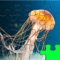Jigsaw Epic Underwater Collection With Amazing Packs