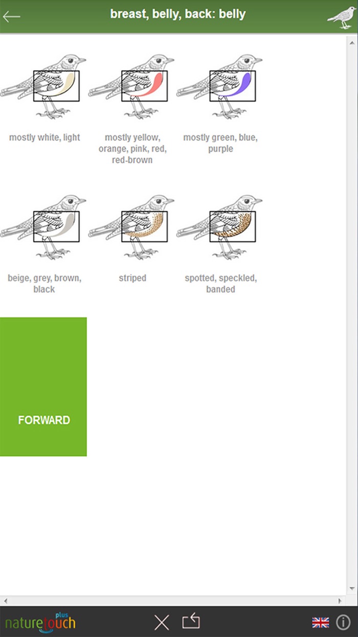 Identify 500 birds, naturetouch