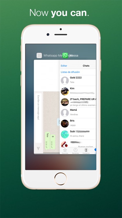 Messenger for WhatsApp - Pro App