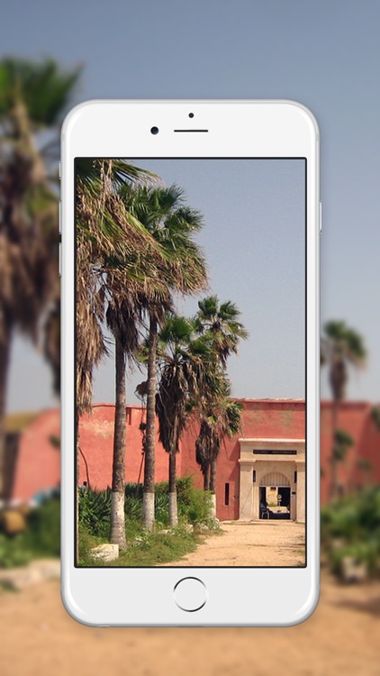 Senegal Tv Live screenshot-3