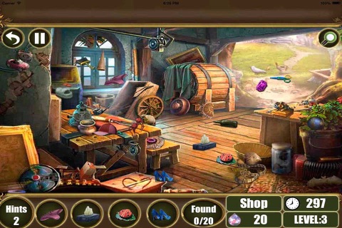 Forest Town Hidden Objects screenshot 3