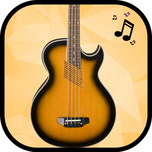 Acoustic Bass Guitar